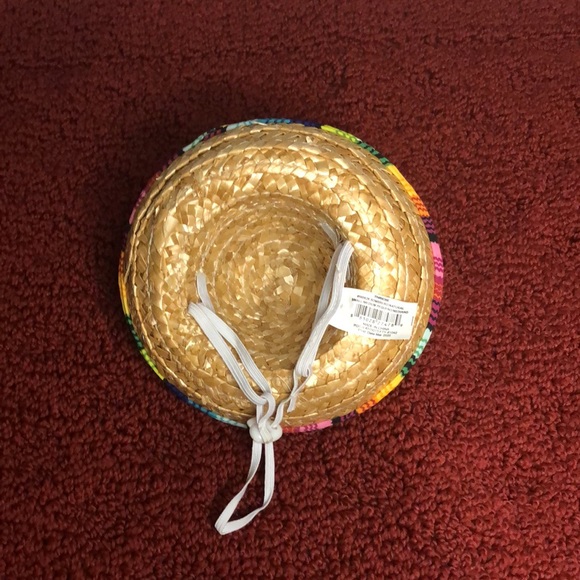 2 for $15 Miniature Dog Sombrero (bundle 2 items) - Picture 3 of 3